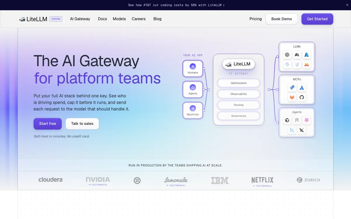LiteLLM homepage screenshot